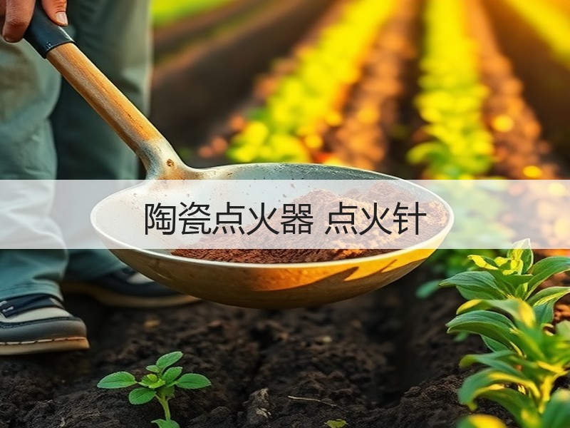 陶瓷点火器 点火针