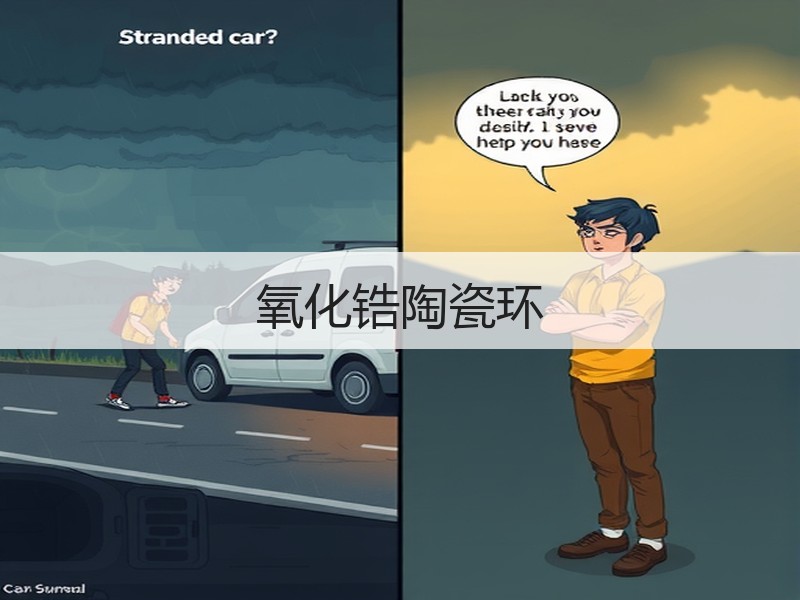 氧化锆陶瓷环
