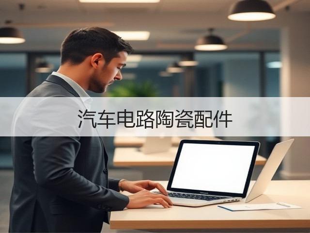 汽车电路陶瓷配件(图3)