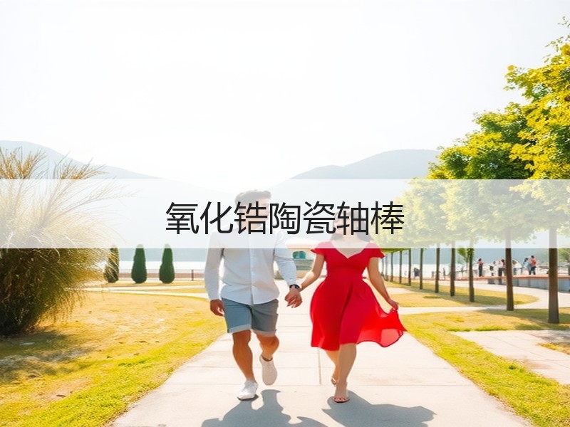 氧化锆陶瓷轴棒