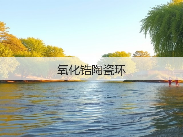 氧化锆陶瓷环(图1)