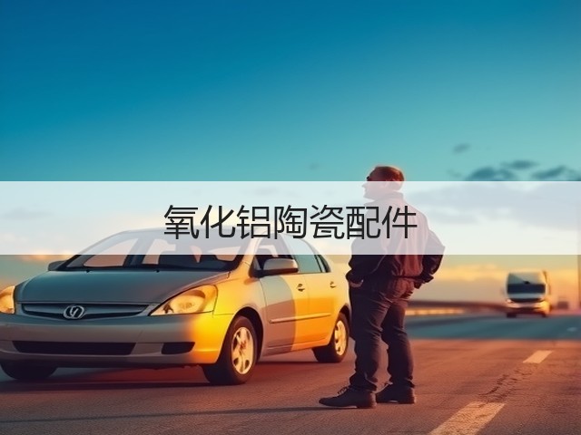 氧化铝陶瓷配件(图1)