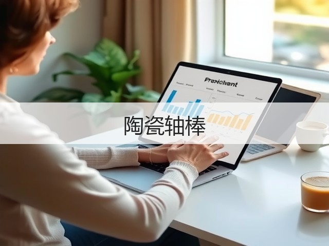 陶瓷轴棒(图1)