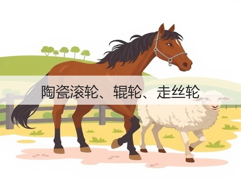 陶瓷滚轮、辊轮、走丝轮