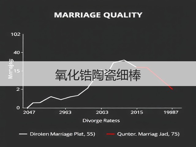 氧化锆陶瓷细棒(图3)