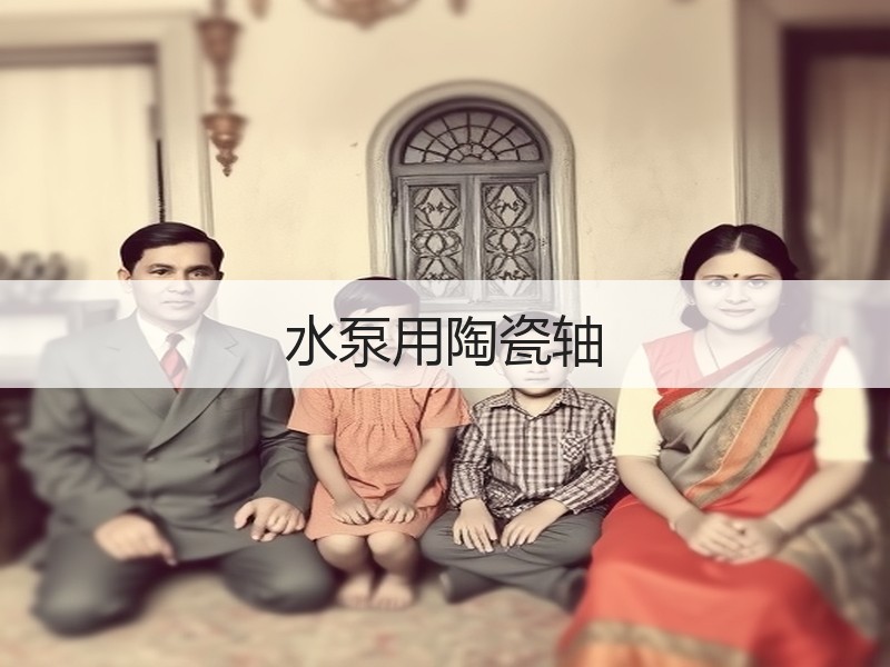水泵用陶瓷轴