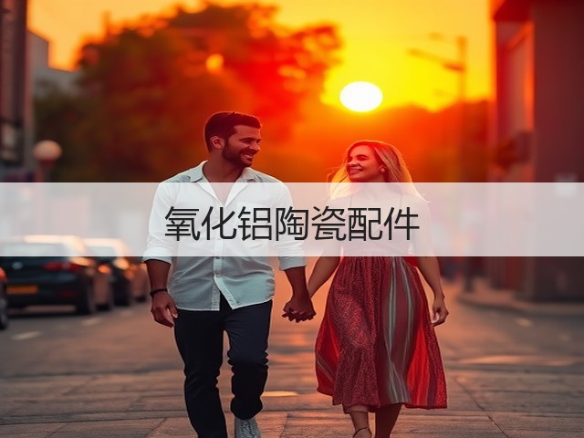 氧化铝陶瓷配件(图1)