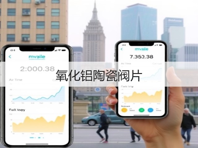 氧化铝陶瓷阀片(图1)