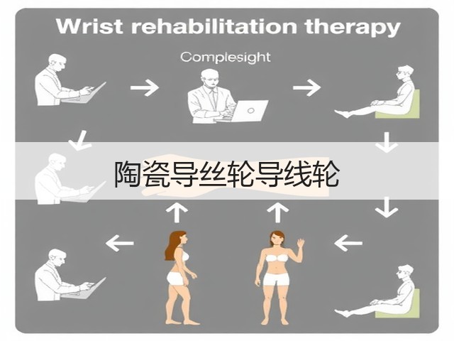 陶瓷导丝轮导线轮(图1)
